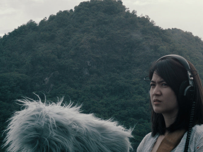 Flutter Echoes And Notes Concerning Nature