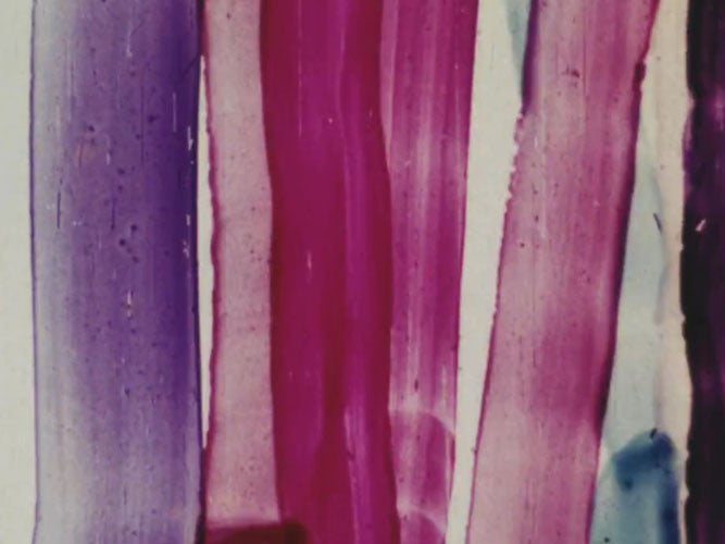 Kompilasi Film Gotot Prakosa