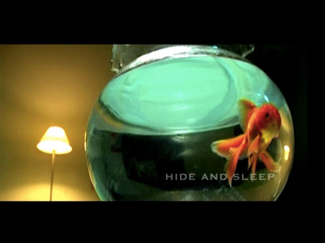 Hide and Sleep - Short Film
